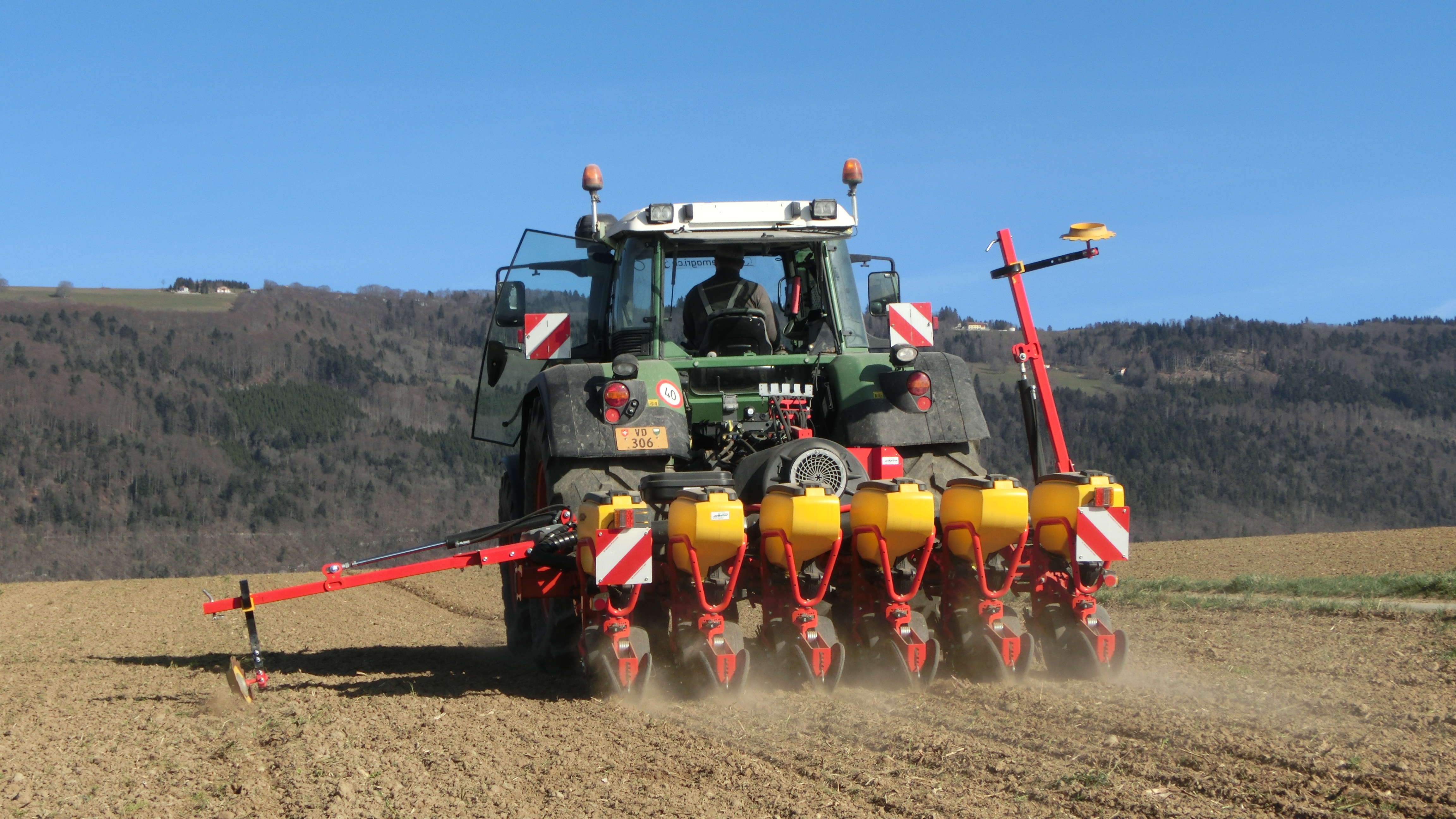 Tempo sugar beet