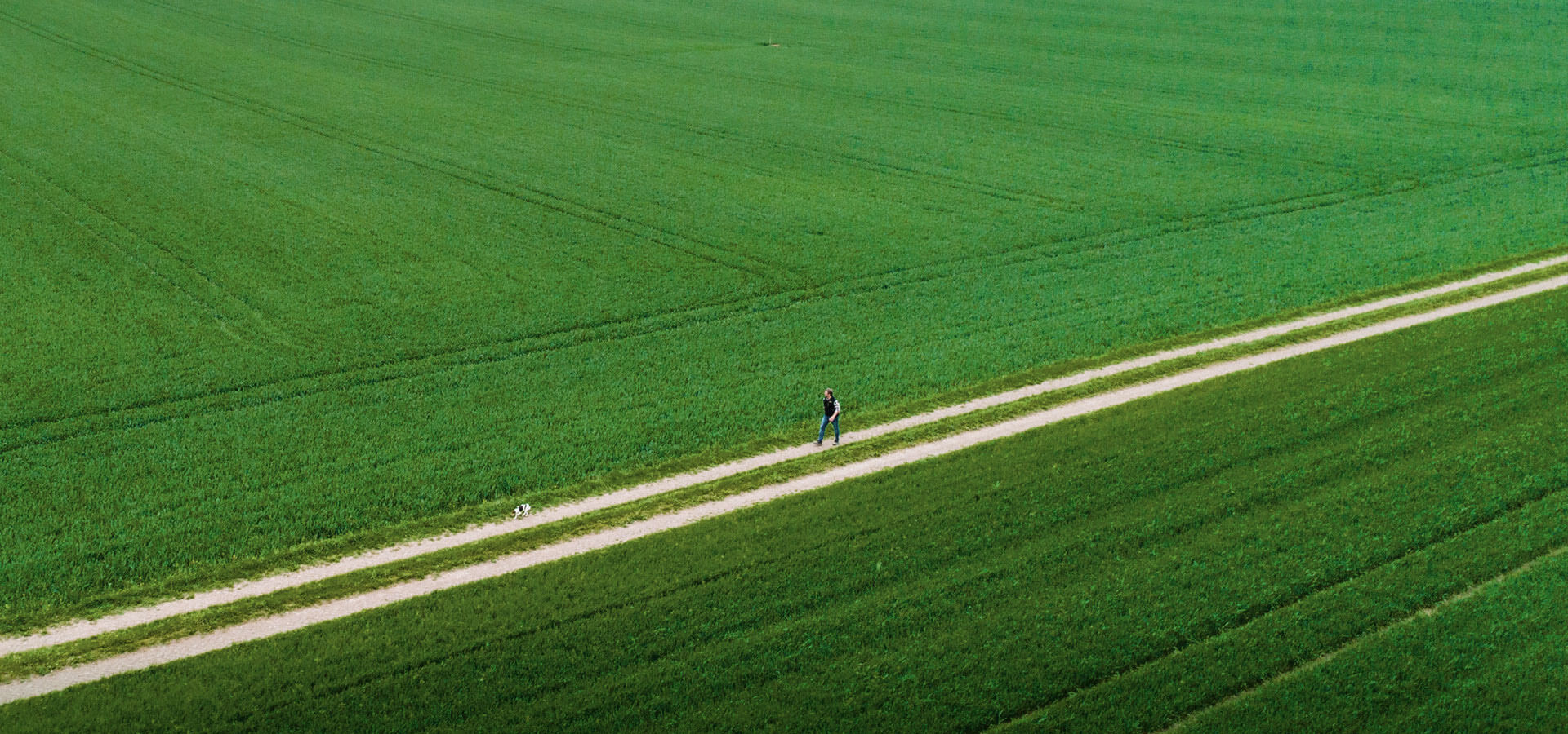 Un Hombre caminando por un camino entre campos