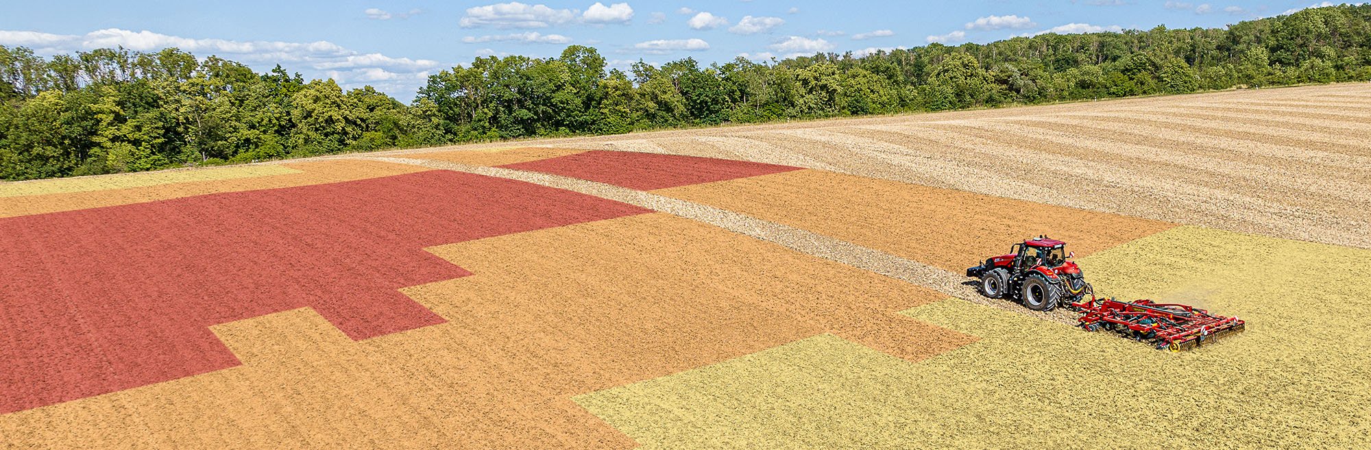 TopDown sur un champ de couleurs différentes