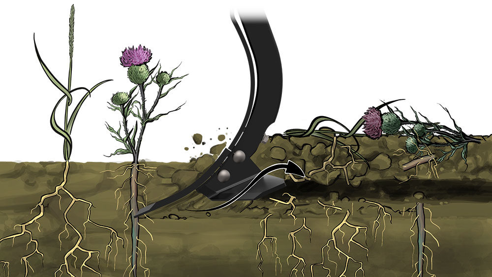 Illustration of Wing share 23 degrees point working the soil