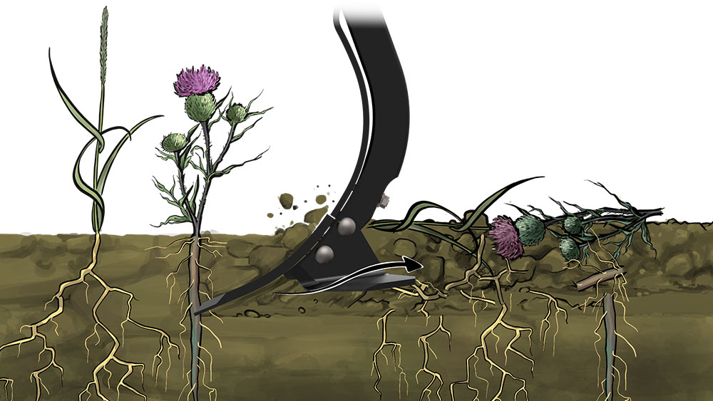 Illustration of Wing share 8 degrees point working the soil