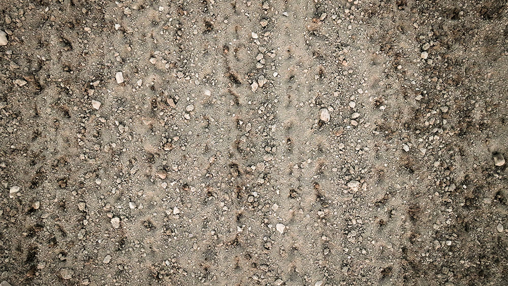 Close-up of soil after being worked with ProDrain, highlighting improved surface structure.