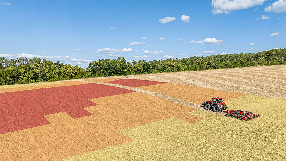Câmp împărțit în diferite secțiuni colorate