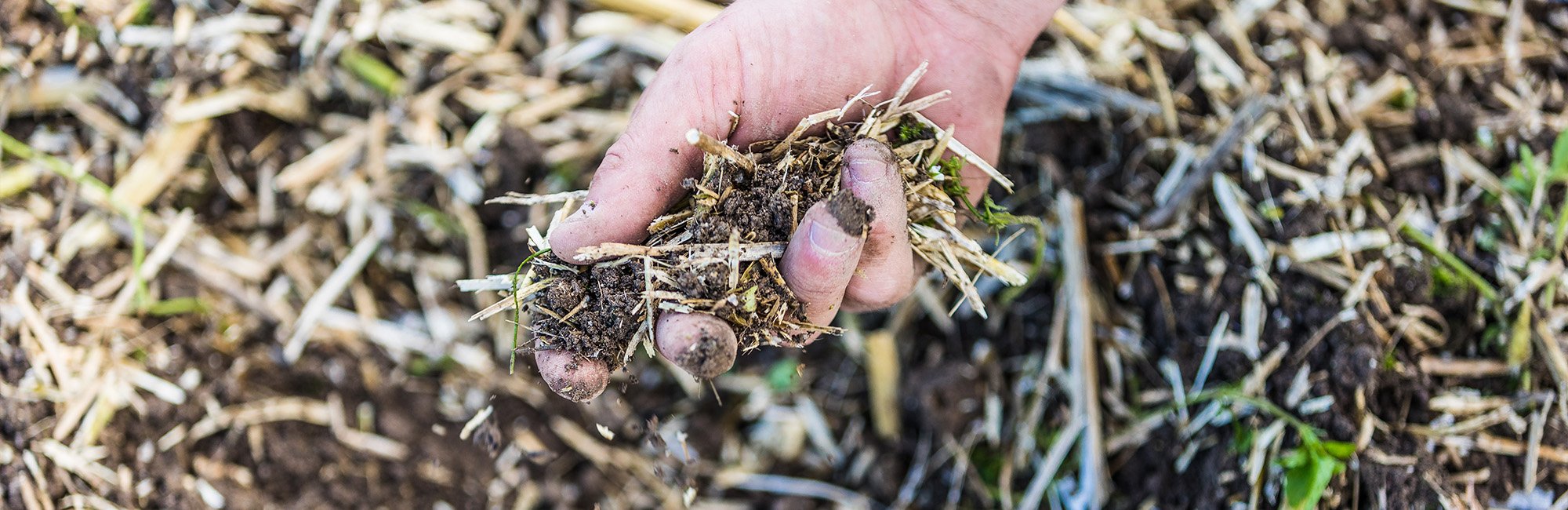 Conservation de l'humidité et de la structure - Quand le moins c'est mieux