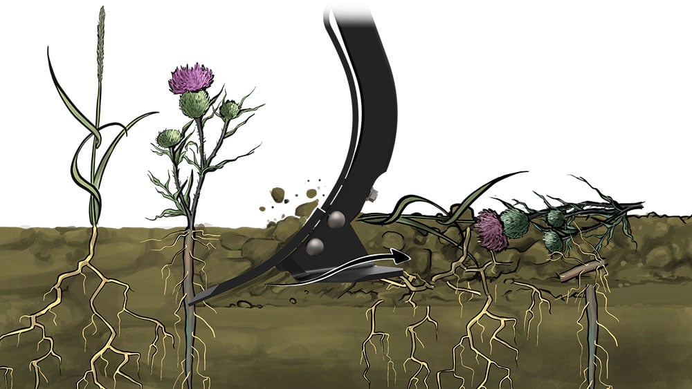 Illustration of Wing share 8 degrees point working the soil