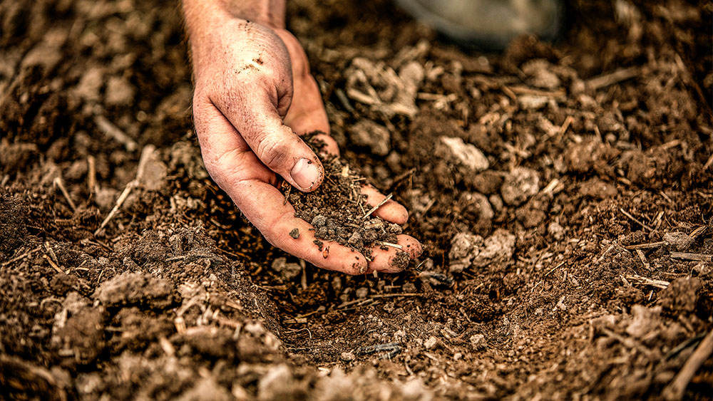 Mano recogiendo tierra del campo