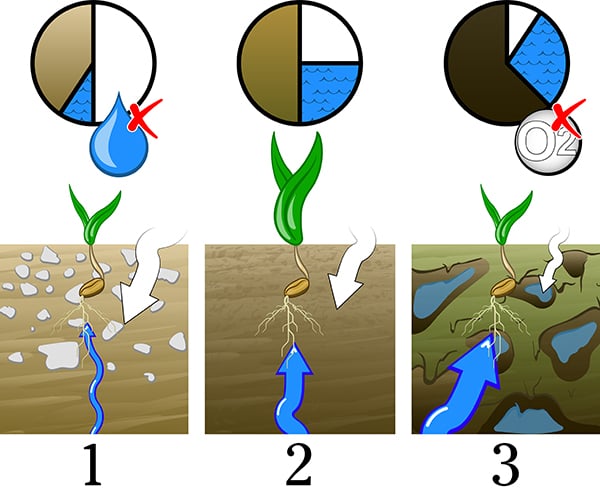 Optimal reconsolidation for a seedbed Reconsolidation of the seedbed