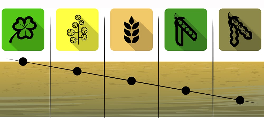 Drilling depth for every species