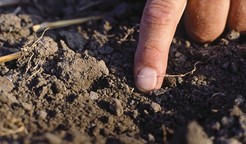 Know How soil diagnosis
