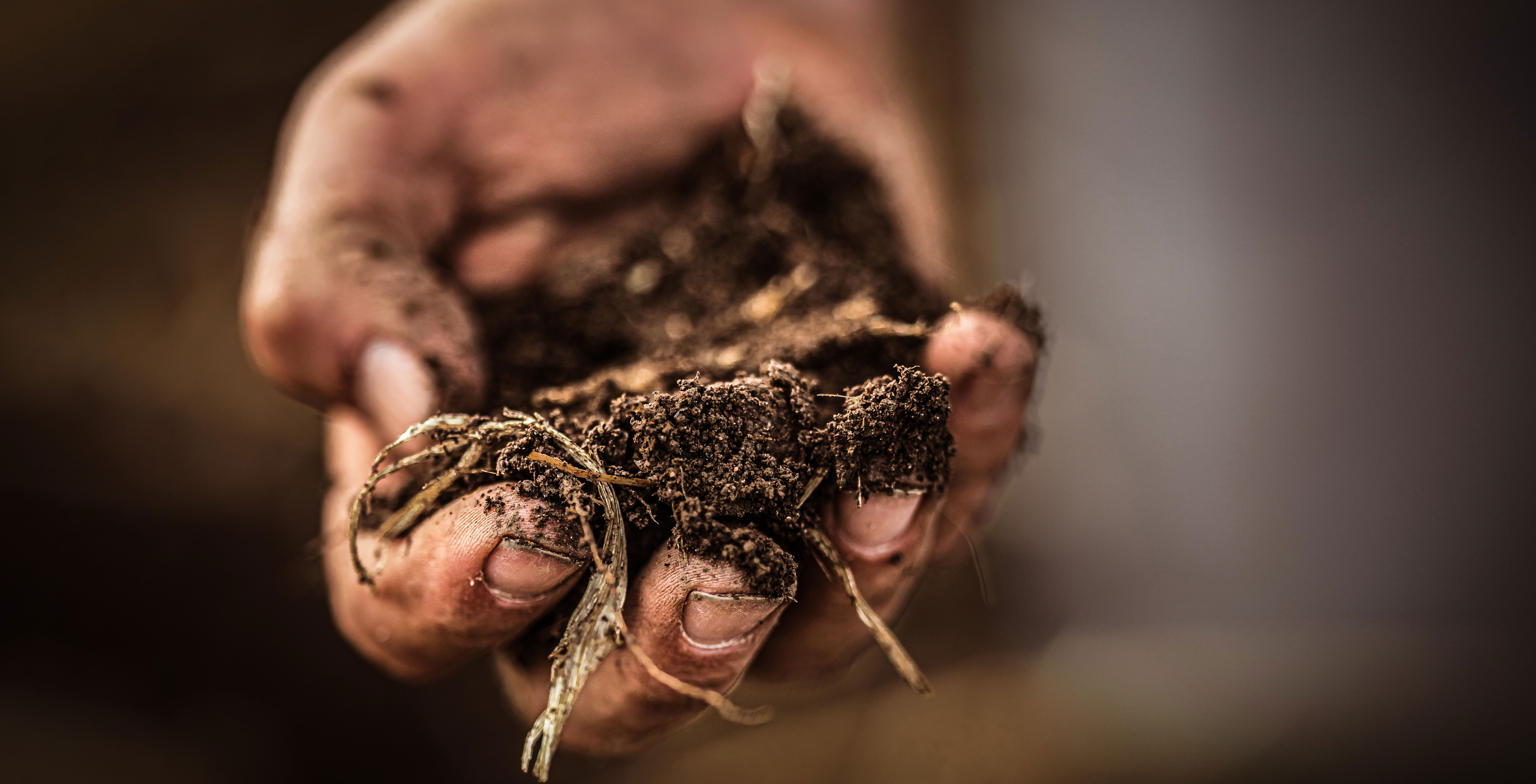 Hand filled with soil