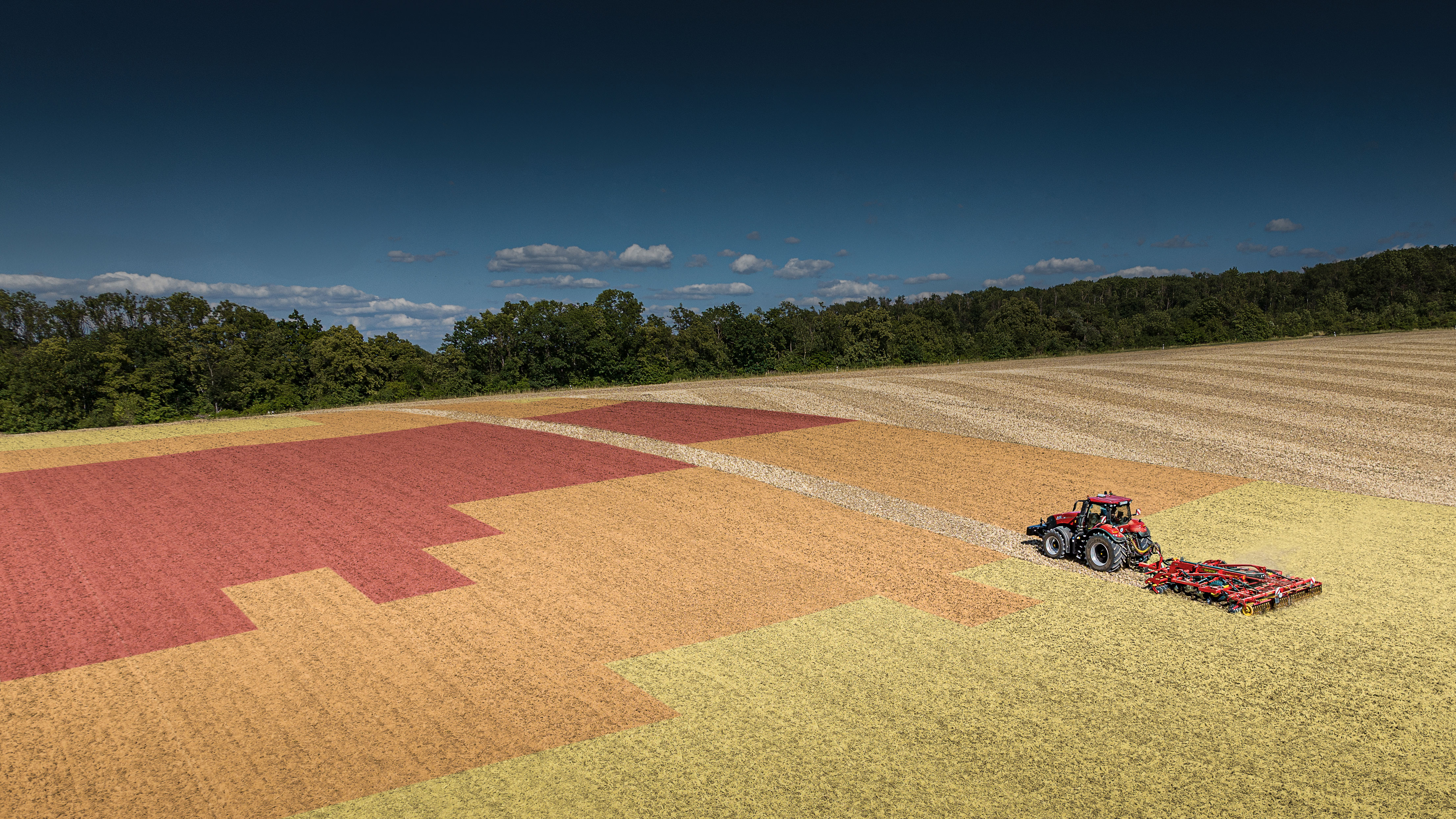Un campo en diferentes colores.