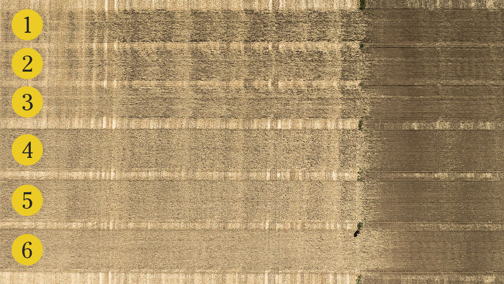 Aerial photo of the results from Väderstad straw distribution field study