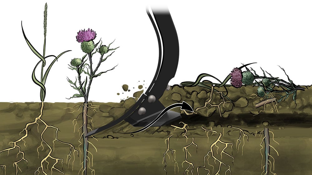 Illustration of Wing share 23 degrees point working the soil
