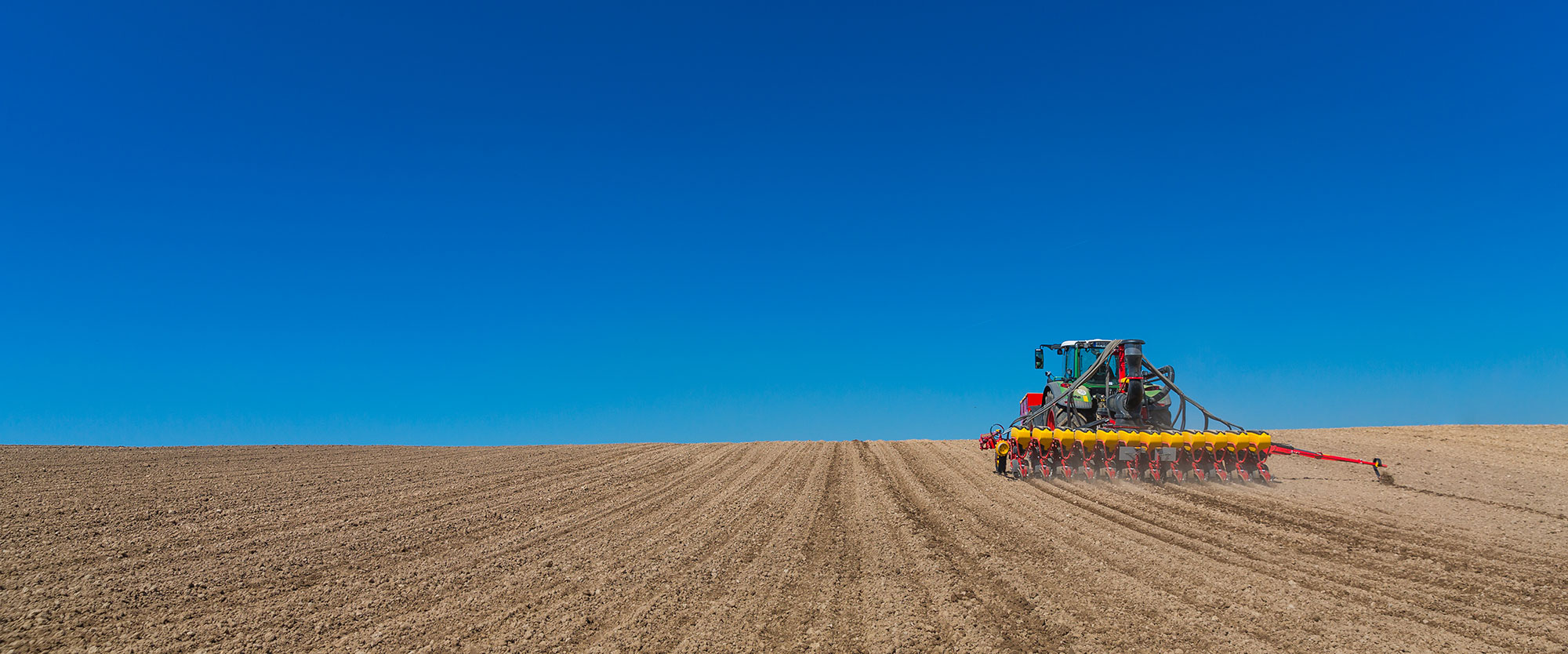 Tempo en el campo