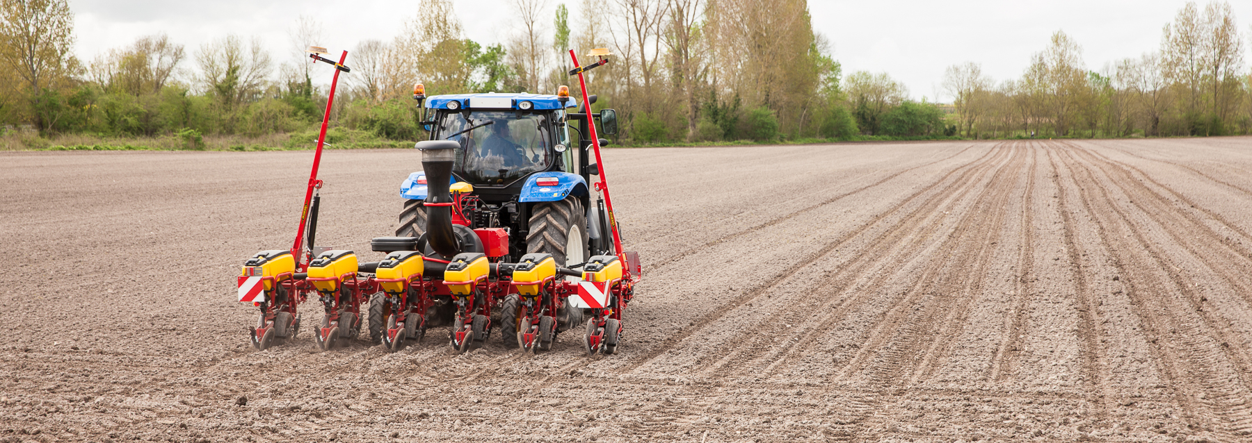 Tempo T in field