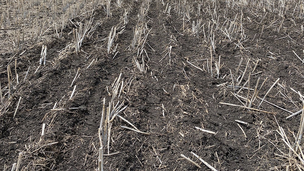 Close-up of seedbed furrows made by Väderstad Dakota air seeder