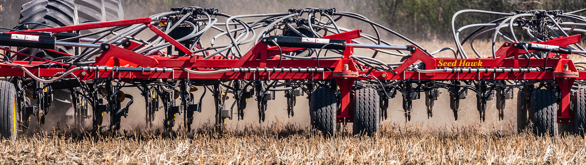 Detail photo of the Seed Hawk, from the back