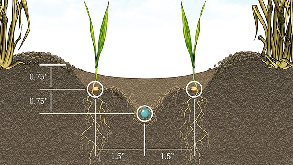 Rendering showcasing placement of seed and fertiliser using the Seed Hawk  Twin Wing knife