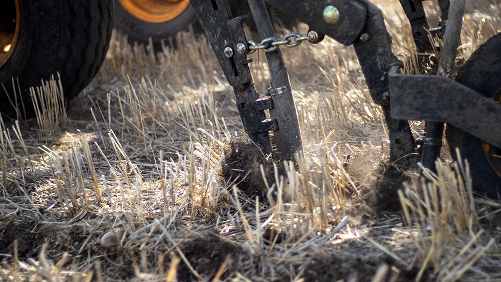 Detail photo of the Seed Hawk seed coulter in the ground