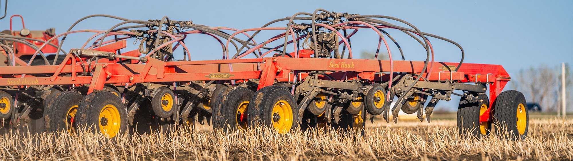 Детальное фото Seed Hawk сбоку