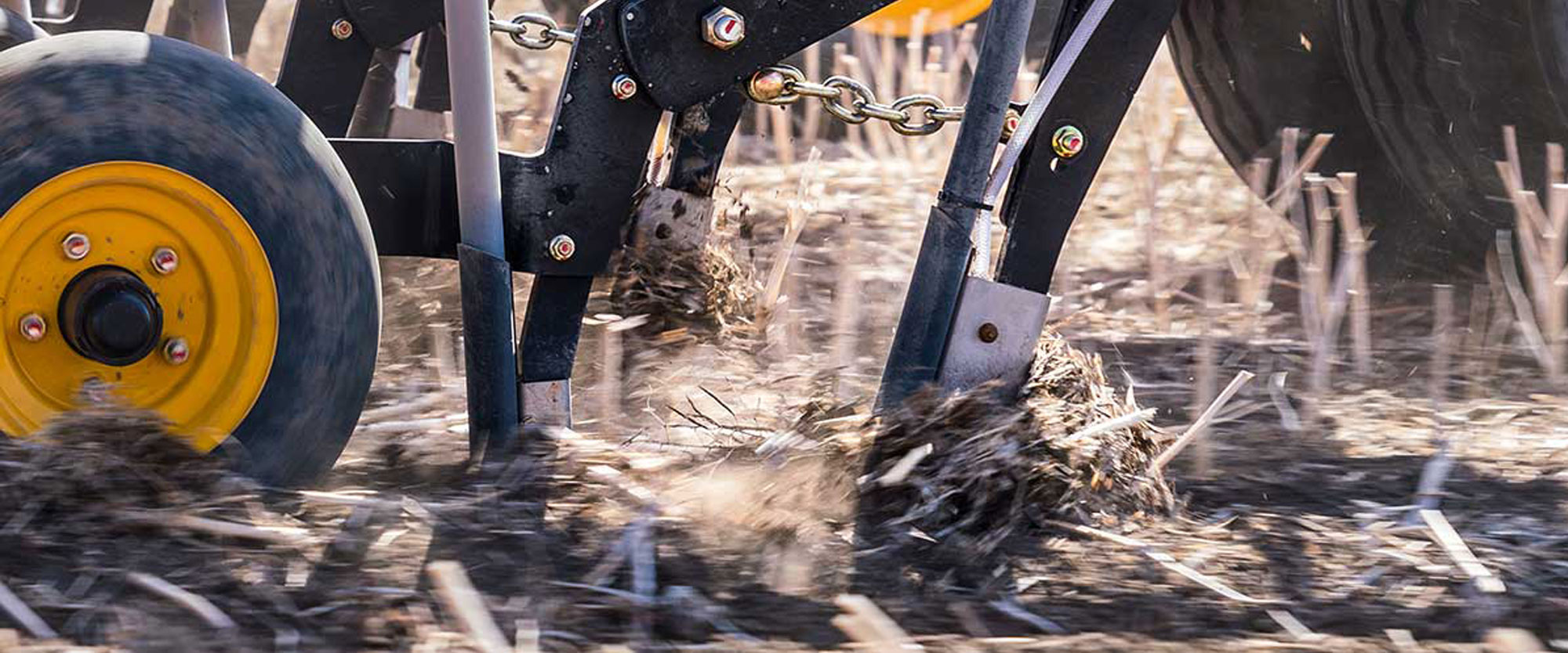 Seed Hawk knives in the field
