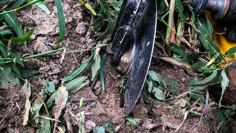Lähikuva Seed Hawk 900C:n kiekkoleikkurista leikkaamassa olkea pellolla