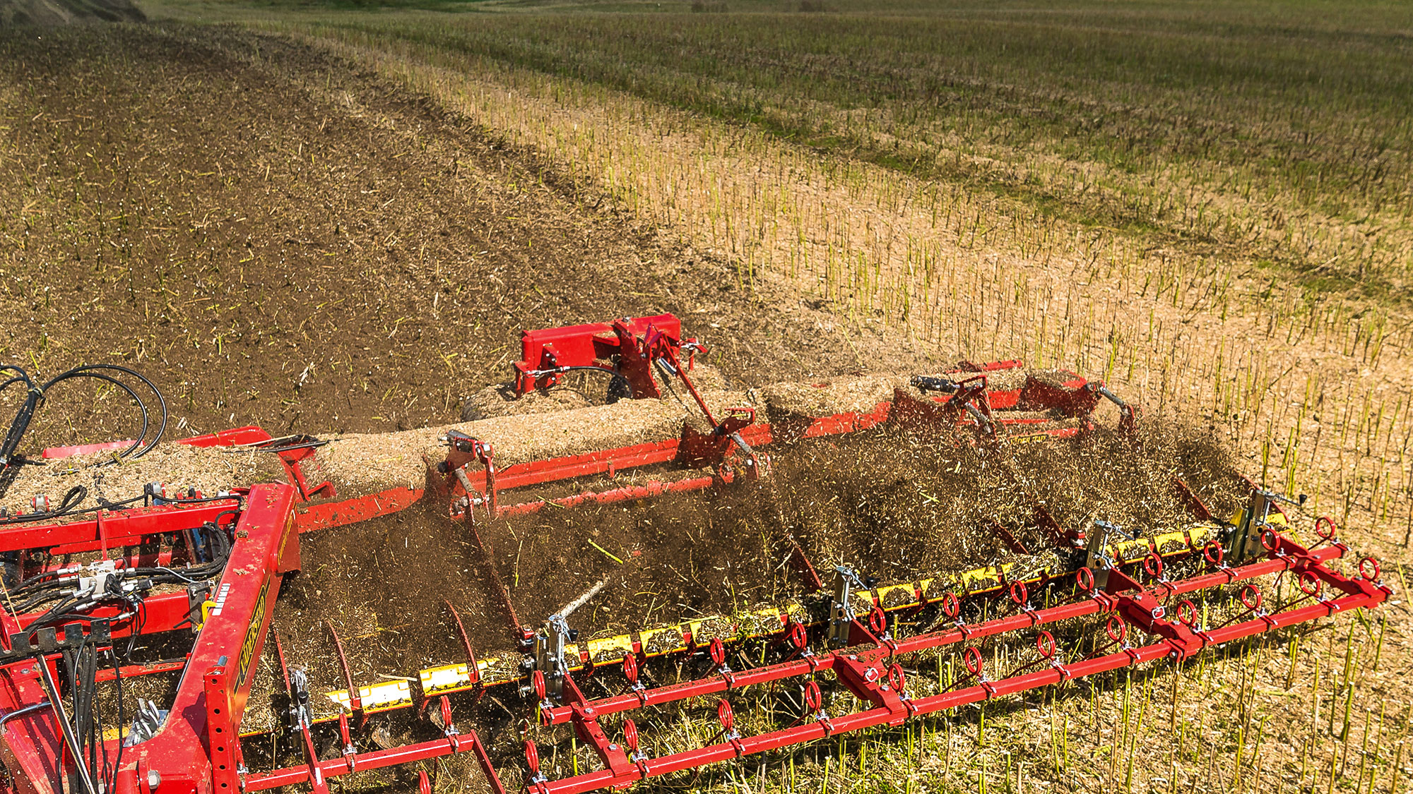 The rich stale seedbed