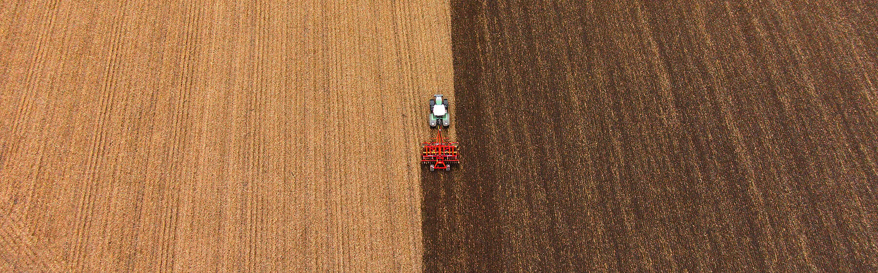 Cultivador en el campo