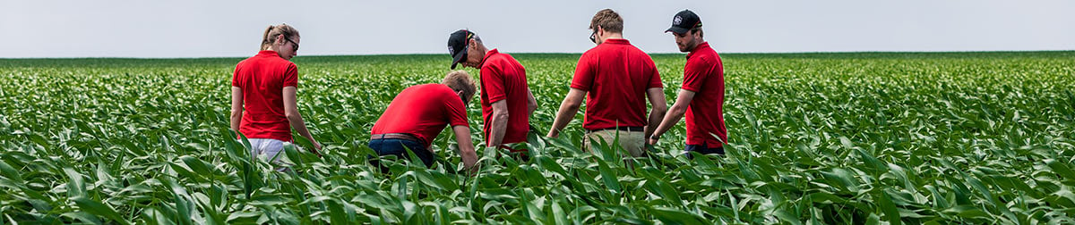 Väderstad Tempo Menschen im Feld